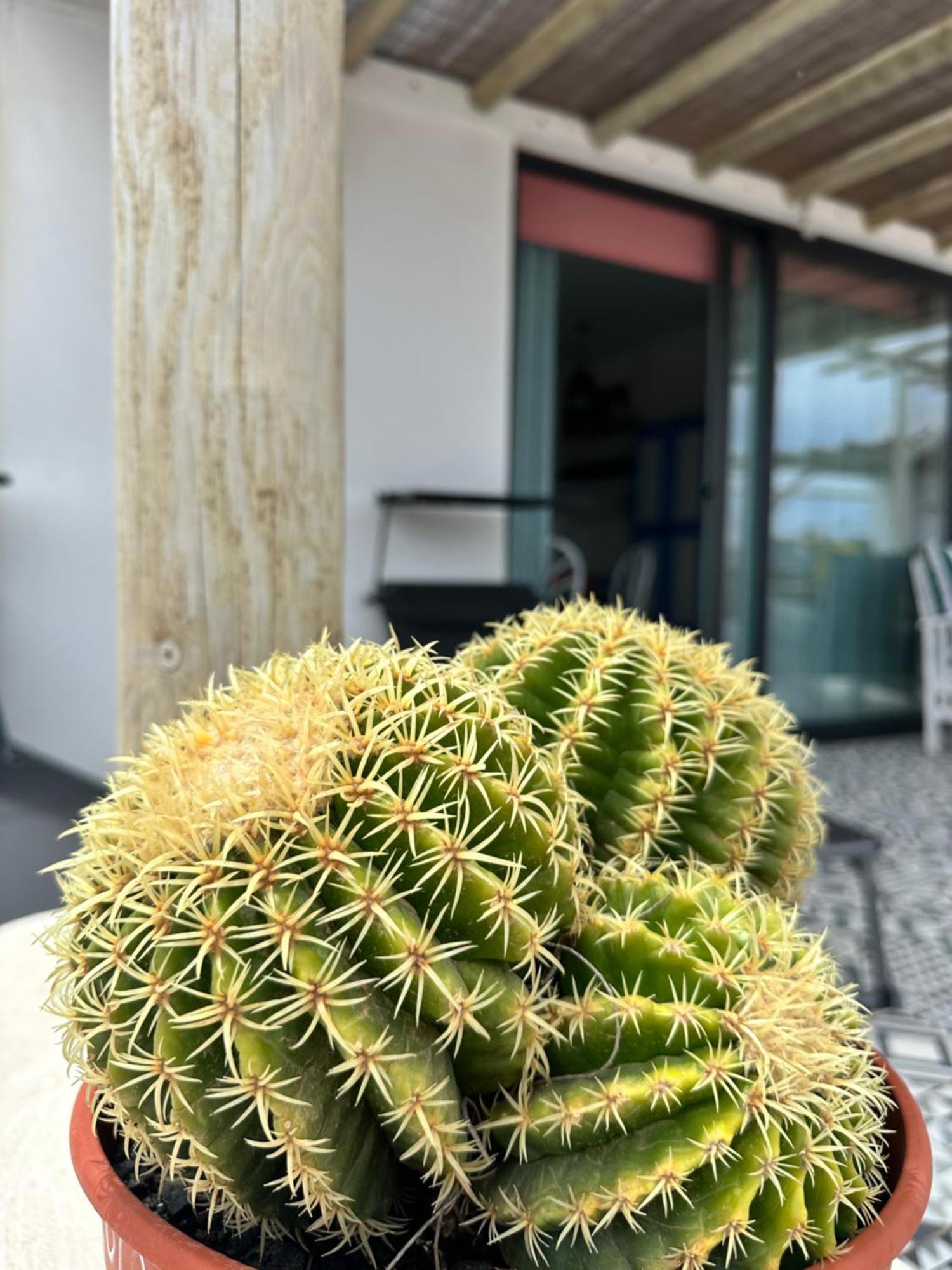 Casita Tiare Lajares Apartment Bagian luar foto
